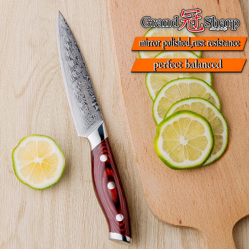  Steak Knife Set 4 pcs Damascus Kitchen Knives vg10 Japanese Damascus Steel Utility Knives 67 Layers - 32941226992