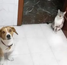 m***u
