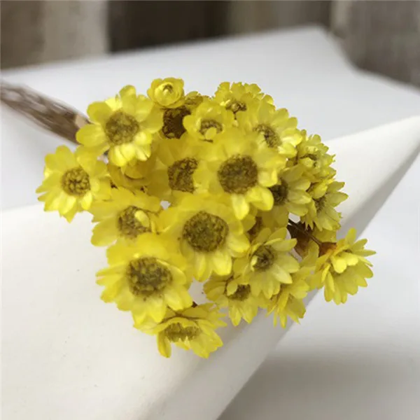 150 шт сушеный цветок мини ромашка Астра букет живое растение маленький цветочный для свадьбы DIY украшения дома - Цвет: yellow