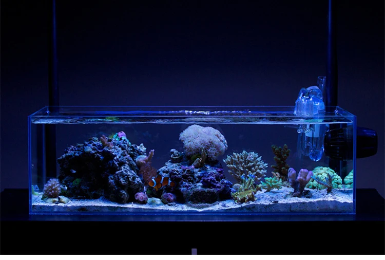 Sistem Overflow Pipa Kaca Untuk Ikan Tank Aquarium Viv Resmi Flagship Store Filter Aksesoris Aliexpress