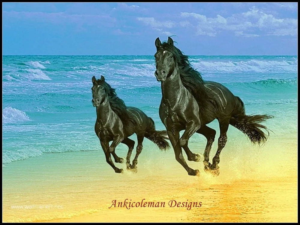 

Horses Running 2 - Counted Cross Stitch Kits - Handmade Needlework for Embroidery 14 ct Cross Stitch Sets DMC Color