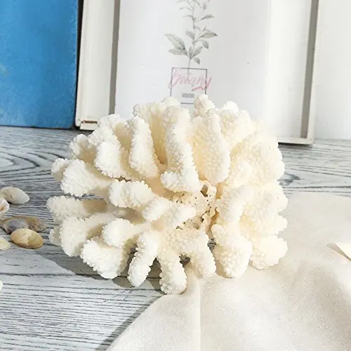 White Coral Sculpture Home Decor Stylish Decorative Accent Coral Flower Sea Beach Decoration Statues White Coral Sculpture Home Decor Stylish Decorative Accent Coral Flower Sea Beach Decoration Statues