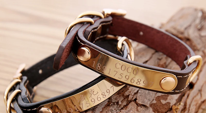 Collar (1)