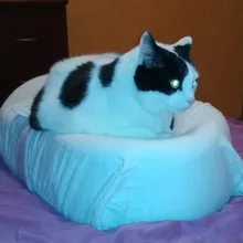 M***a
