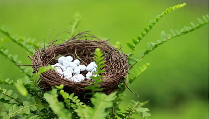 

Artificial nest eggs Miniature Garden Ornaments Micro landscape toys small decor Cake decor DIY Mini Fairy tale world CJ153