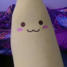 A***a