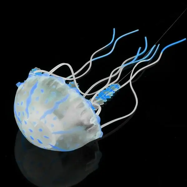 rq33_3_4085412570819236943