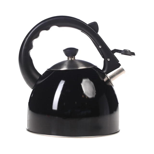 Чайник Rondell Durst RDS-363 2,2 л | нержавеющая сталь | для всех типов плит