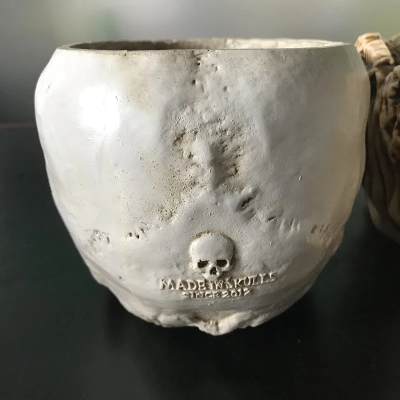 Beste Schedel Hoofd Planter Wit Menselijke Schedel Hoofd Ontwerp Bloempot Container Antieke Sculptuur Planter Home Decor Cadeau voor Kerst