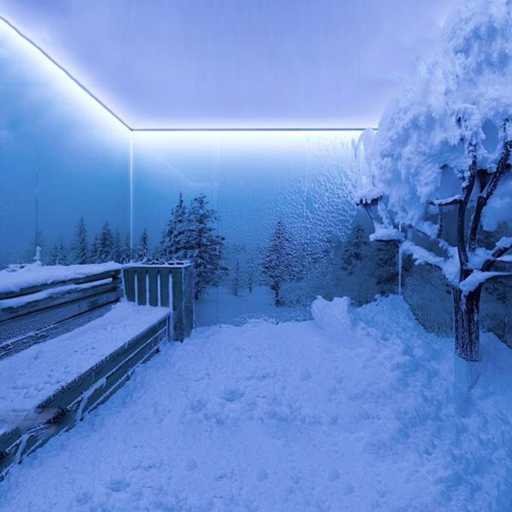 indoor decoration 