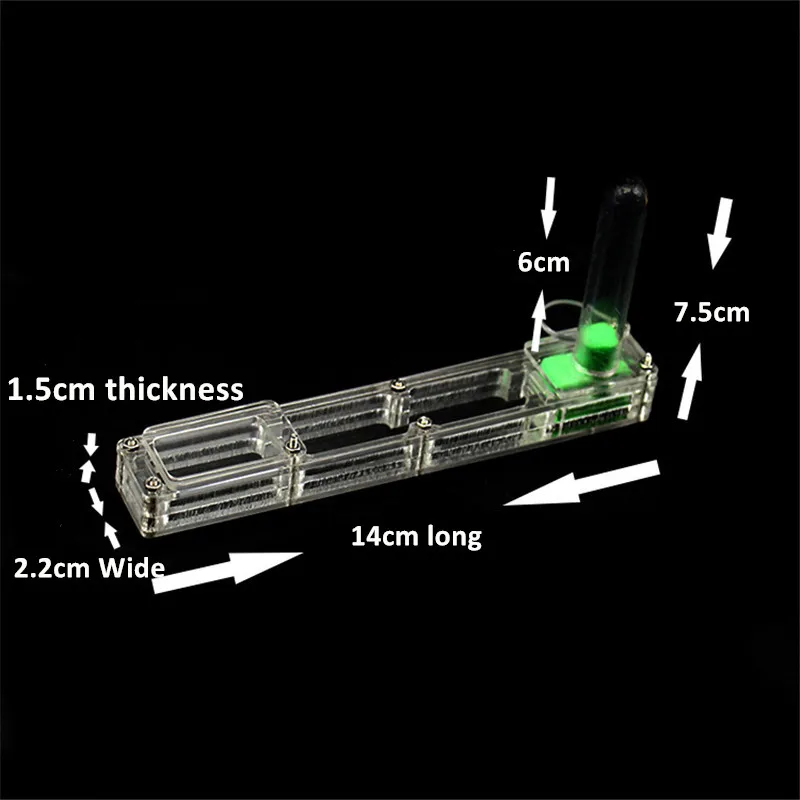 Anthouse Acrylicant nest  BIG Starter Kit formicarium ant farm with water tower moisturizing  (4)