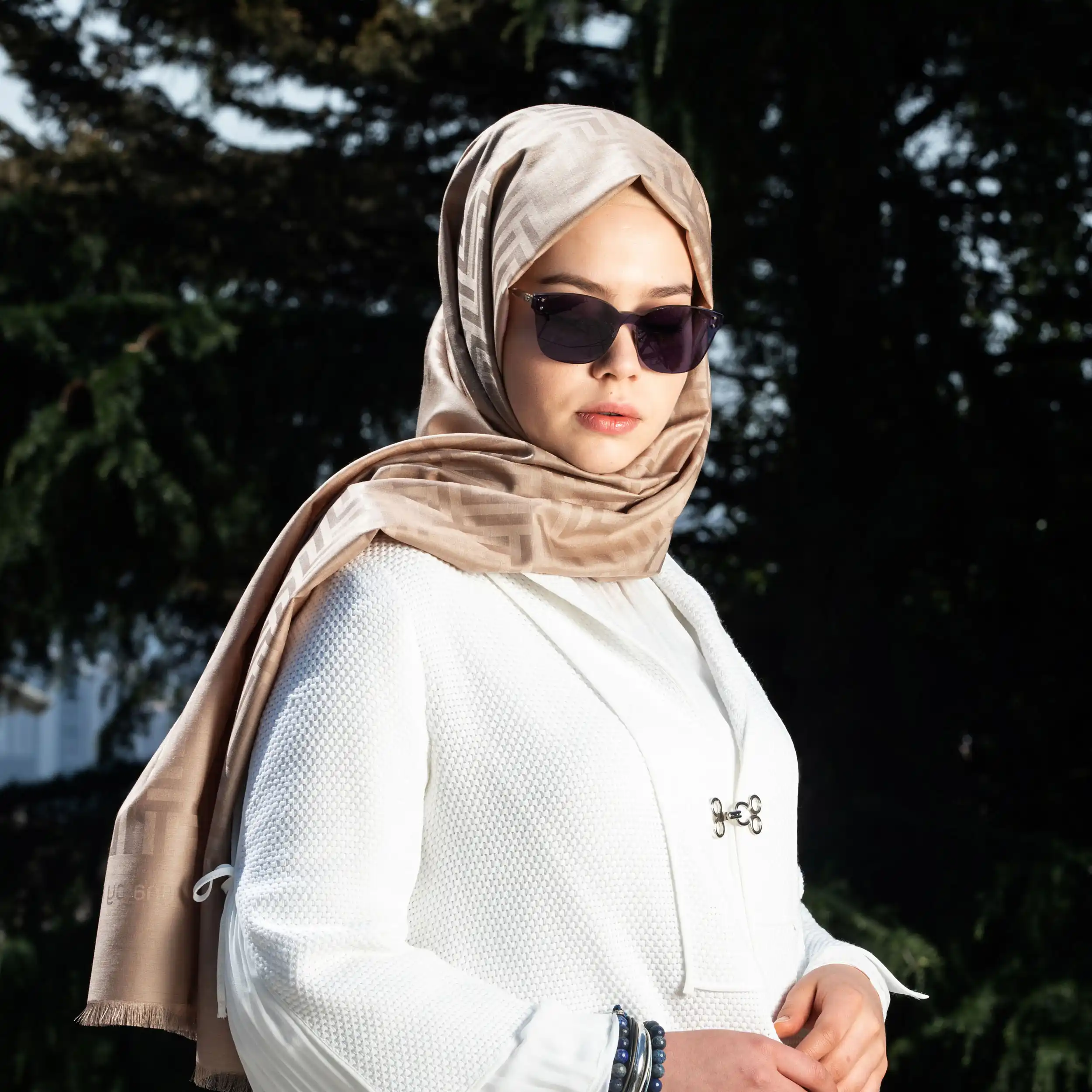 LeynabyHF bufanda de Muscat Beige/chal 190cm * 70cm seda y lana ...