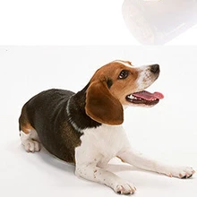 Новая собака кошачьи приборы