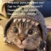 i***v