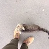 B***u