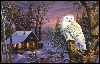 

Night Watch 2 - Counted Cross Stitch Kits - DIY Handmade Needlework For Embroidery 14 ct Cross Stitch Sets DMC Color