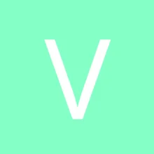 V***N