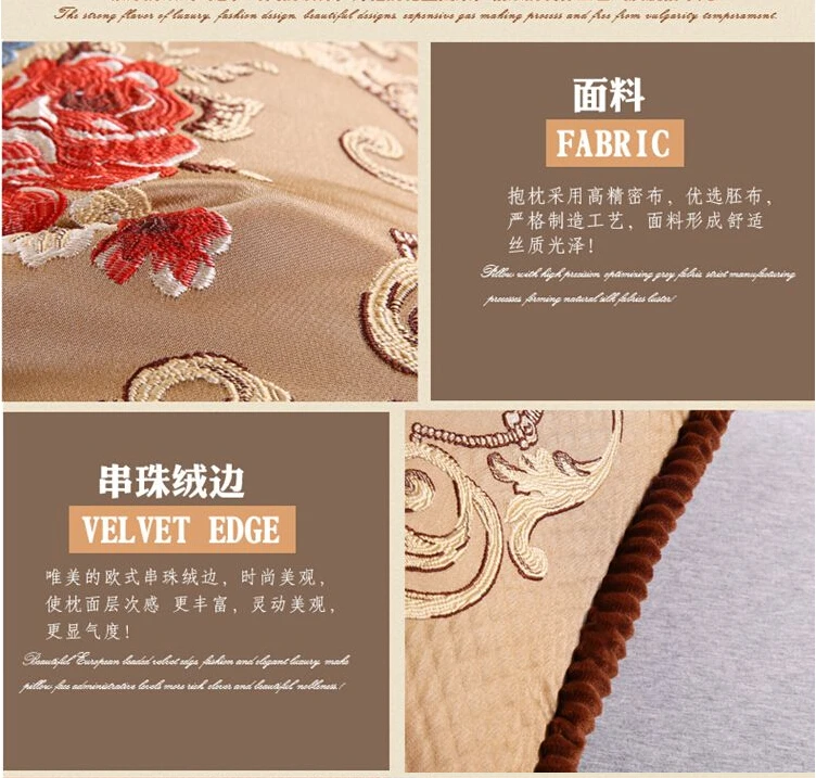 xijie5