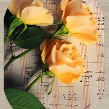 Еще коричневого цвета в виде скрипичного ключа, желтые розы Винтаж 3d принтом Нескользящие микрофибра Гостиная современный овальной формы, которое можно стирать в машине ковер