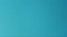 V*** 