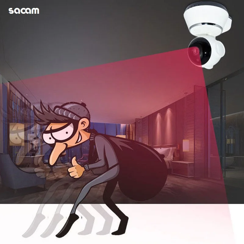 motion alarm camera