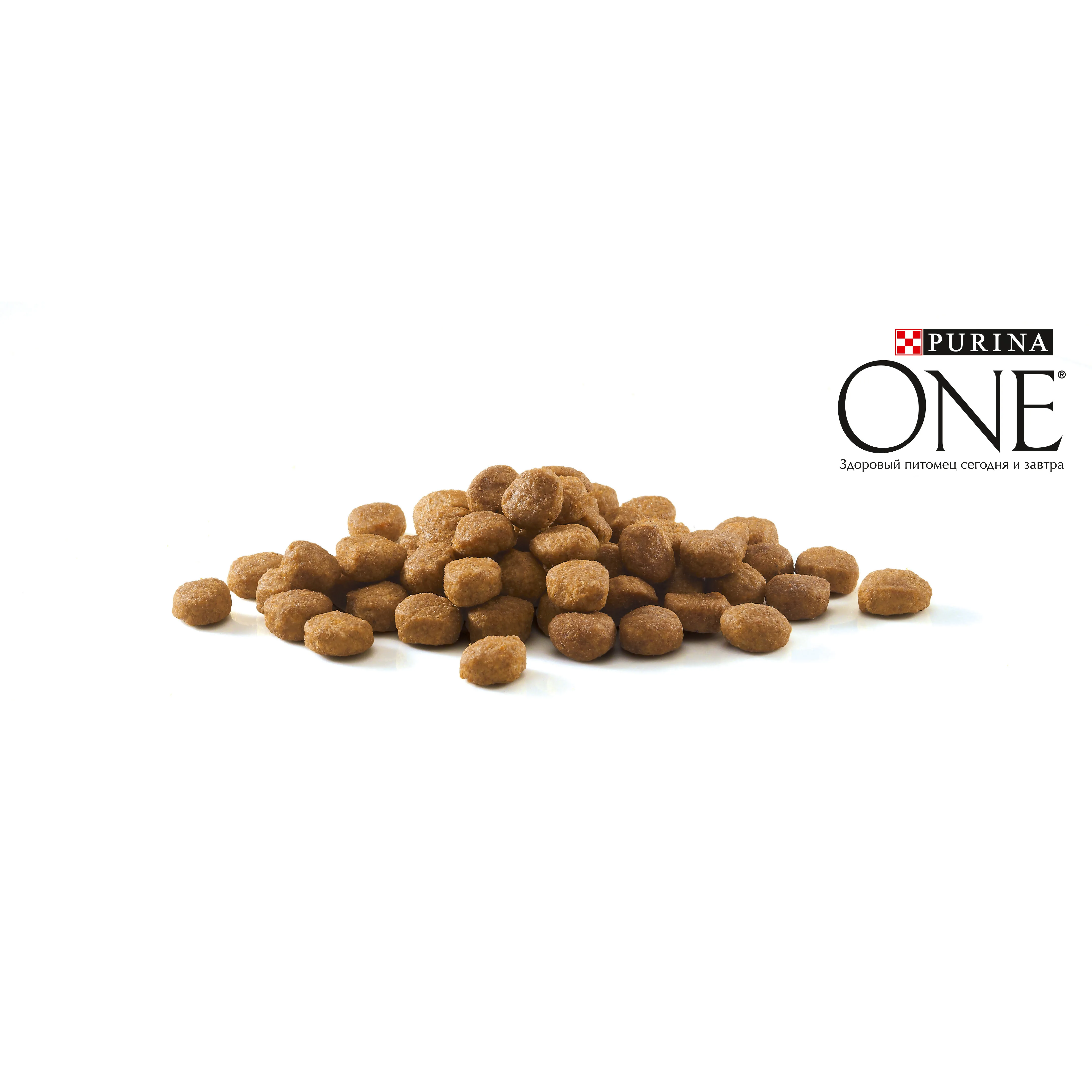 Сухой корм Purina ONE для домашних кошек с индейкой и цельными злаками, Пакет, 3 кг