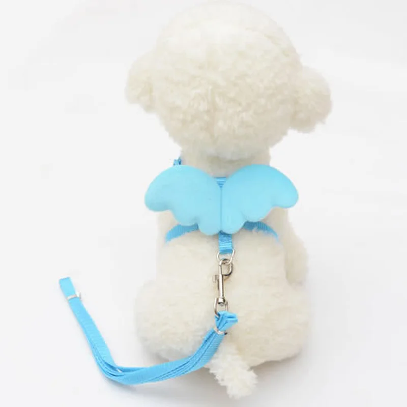 Cute-Angel-Pet-Dog-Leashes-and-Collars-Set-Puppy-Leads-for-Small-Dogs-Cats-Designer-Wing (1)