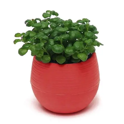 Colorful Round Plastic Flower Pot Plant Planter (2)