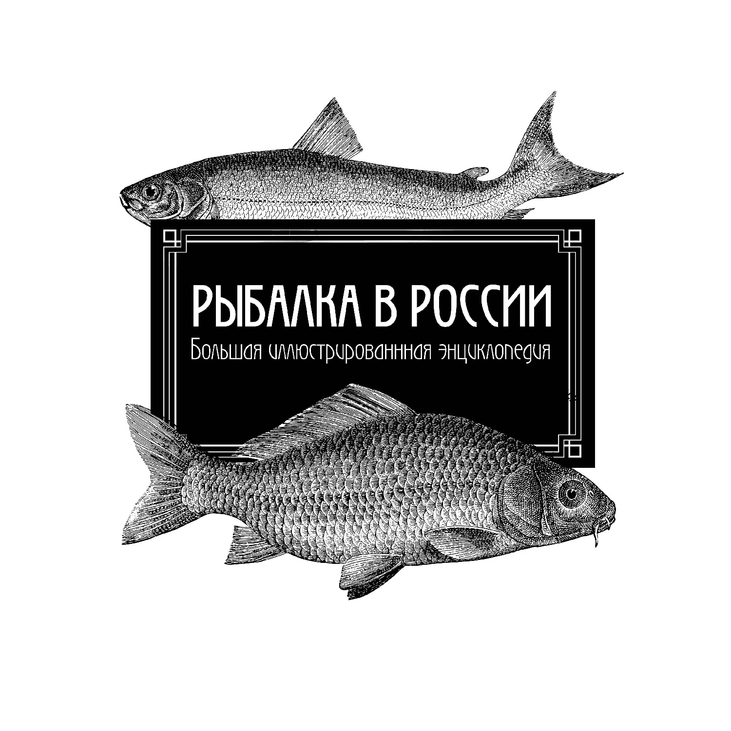 Рыбалка в России. Большая иллюстрированная энциклопедия (978-5-699-87591-7, 256 стр., 12+)