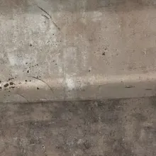Y*** 
