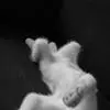 m***o