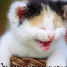 i***m