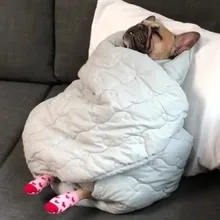 S***k