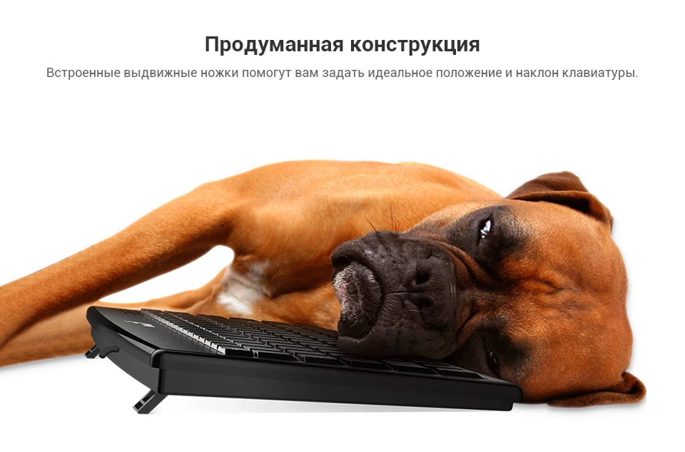 PC (6)