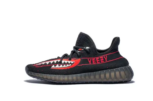 yeezy shark