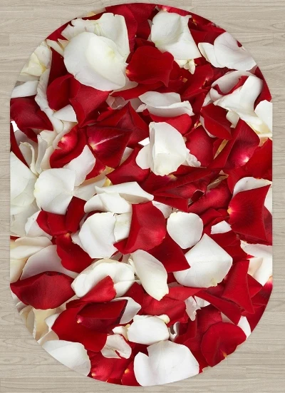 Else Красный Белый розы листья цветочный природа 3d узор принт Нескользящая микрофибра гостиная современный Овальный моющийся ковер