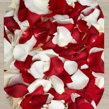 Else Красный Белый розы листья цветочный природа 3d узор принт Нескользящая микрофибра гостиная современный Овальный моющийся ковер