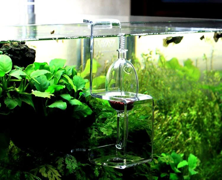 

glass fish food feeder for aquarium
