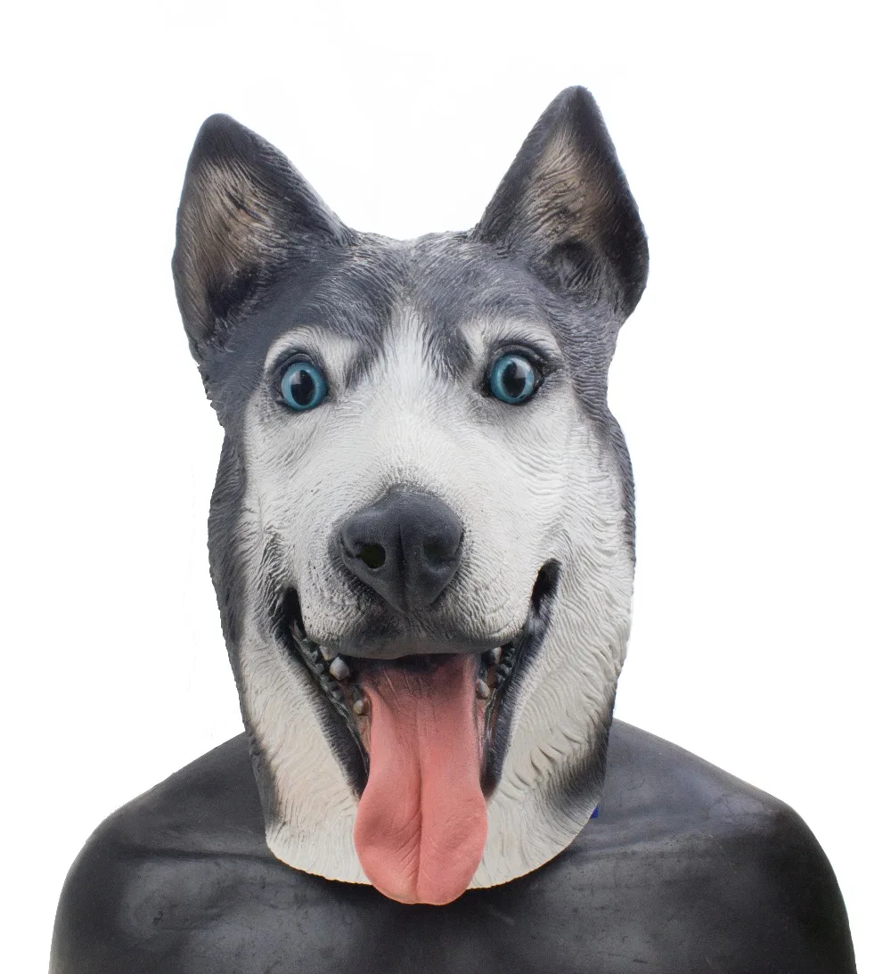 Siberian Husky (3)