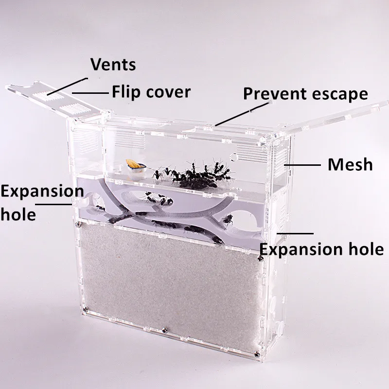 Ant Acrylic Combo Hybrid Sand Nest Ant Farm Ant Formicarium Ant Housing Ant Farms (3)