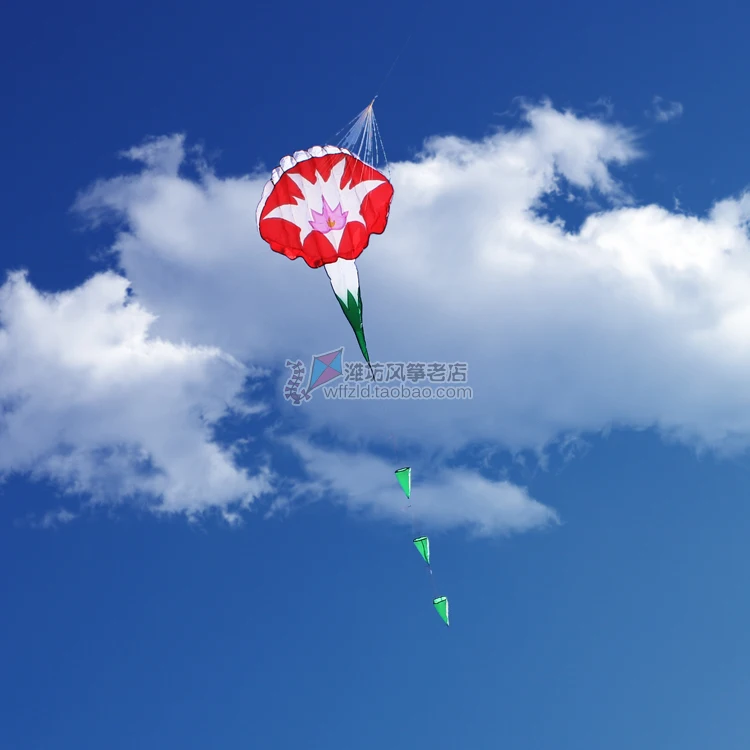 TB2jhJRbVXXXXaNXpXXXXXXXXXX_!!14308470