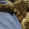 A***n