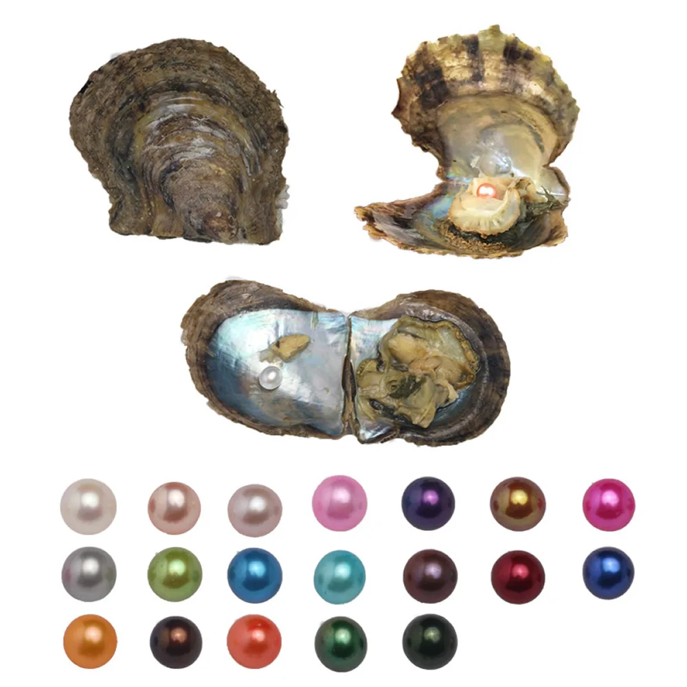 10 PCS Akoya Pearl Oyster Cultured Love Wish Pearl Oysters with 7-8 mm Round Pearls Inside Birthday Gifts (Random Color) 10 PCS Akoya Pearl Oyster Cultured Love Wish Pearl Oysters with 7-8 mm Round Pearls Inside Birthday Gifts (Random Color)