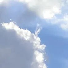 V***v