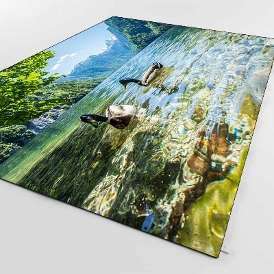 Зеленый цветочный синий озёр в уток животные 3d принт Нескользящая микрофибра Гостиная декоративный современный моющийся коврик