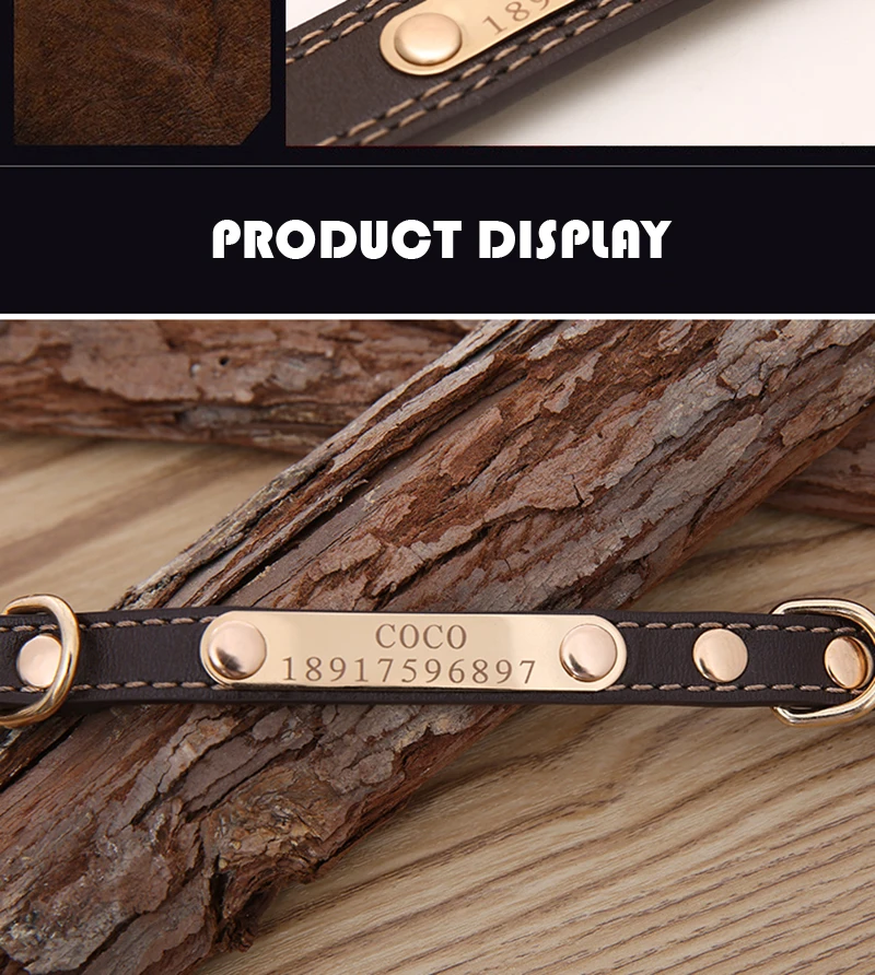 Collar (14)