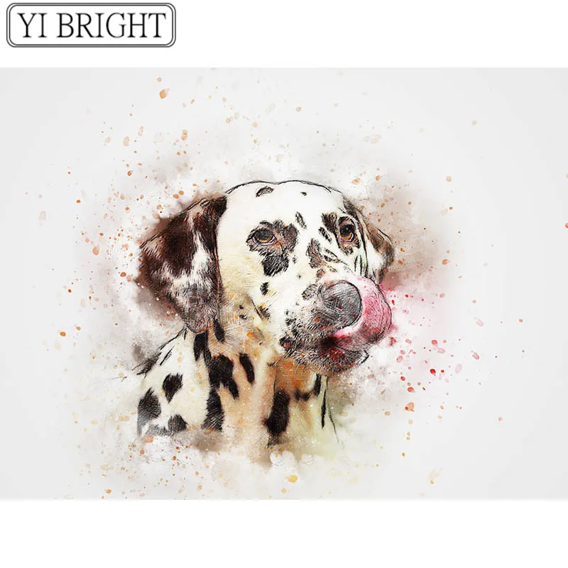 dog-2438070_960_720