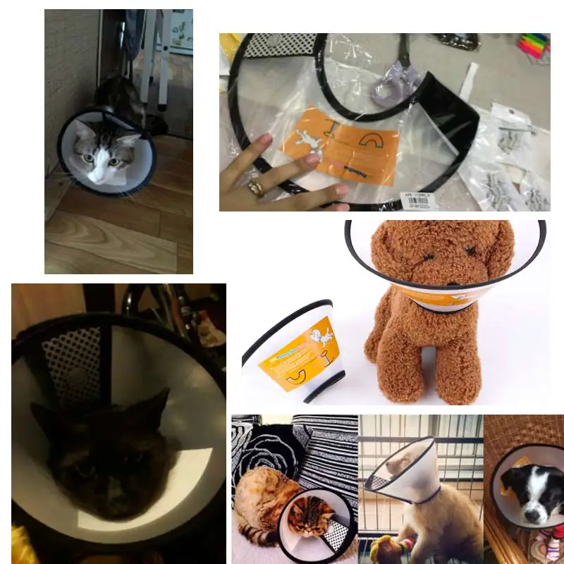 Plastic Cone Pet Products Anti Bite And Scratching Elizabeth Collar For Cats Elizabeth Circle Dog Protection Beauty Healing E
