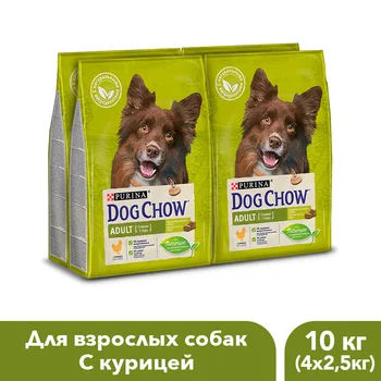

Dog Chow dry food for adult dogs over 1 year old with chicken, 10 kg.