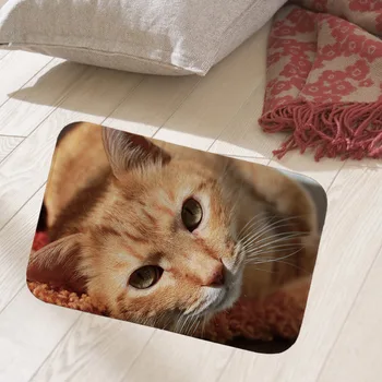 

40x60cm DoorMats Colorful Spots Carpets for Entrance Door Living Room Mats Character mat kitchen rugs Home Decor floor mat QX